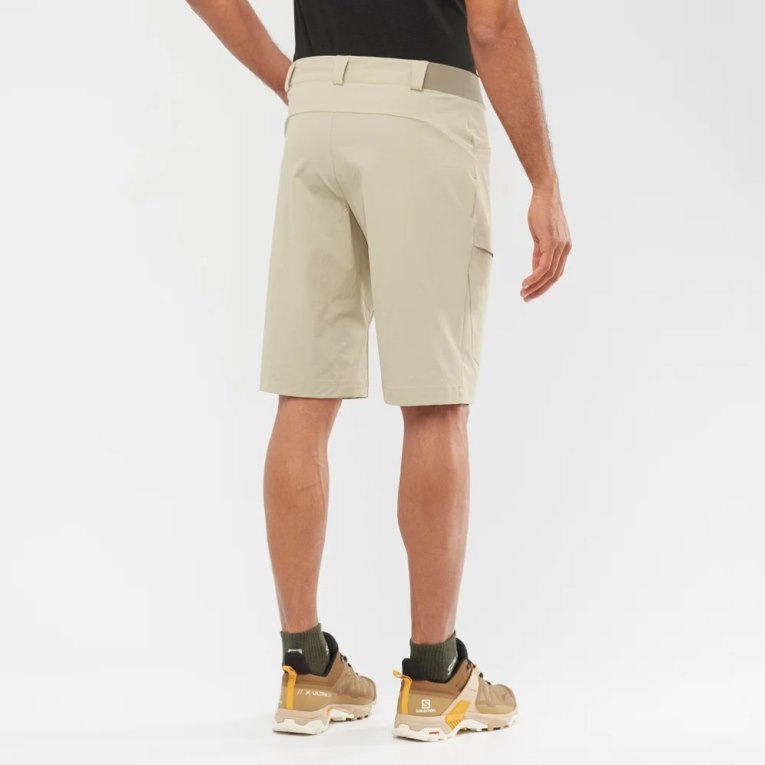 Bermudas Salomon Wayfarer Hombre Kaki | MX AGEI083